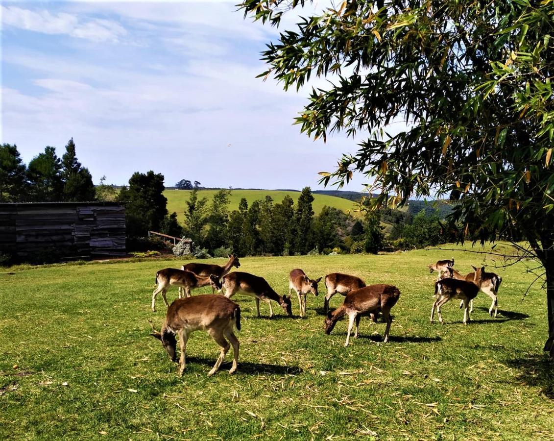 Green Hills Forest Lodge The Crags 외부 사진