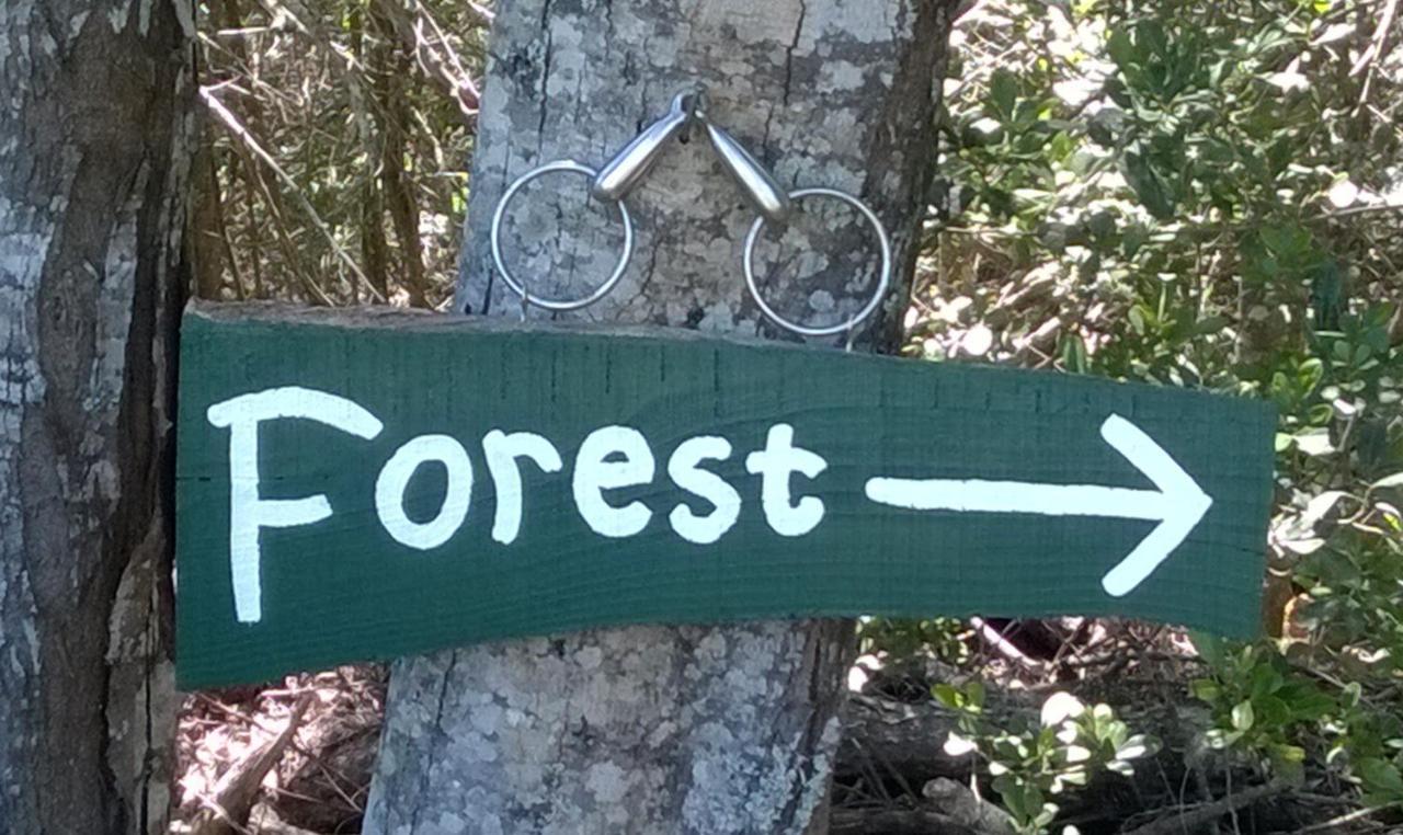 Green Hills Forest Lodge The Crags 외부 사진